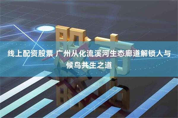 线上配资股票 广州从化流溪河生态廊道解锁人与候鸟共生之道