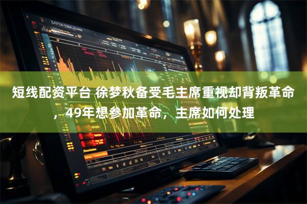 短线配资平台 徐梦秋备受毛主席重视却背叛革命,49年想参加革命,主席如何处理