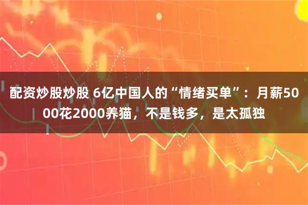 配资炒股炒股 6亿中国人的“情绪买单”:月薪5000花2000养猫,不是钱多,是太孤独