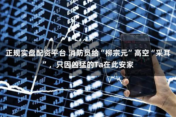 正规实盘配资平台 消防员给“柳宗元”高空“采耳”，只因凶猛的Ta在此安家